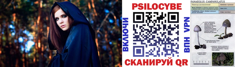 Купить где Вельск Псилоцибиновые грибы ЛСД